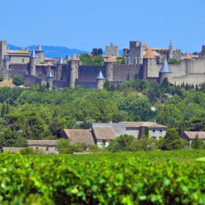 carcassonne 3