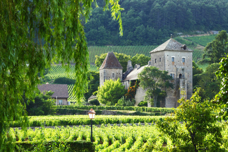 Burgundy Wine Tour