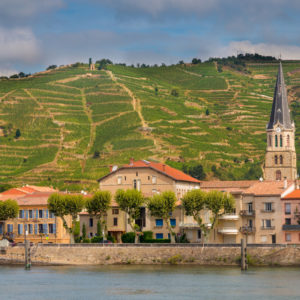 tournon sur rhone