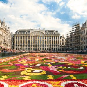 shutterstock_17219980 brussels flower carpet