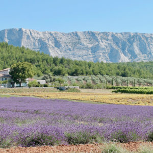 wine-tour-in-aix-en-provence-low