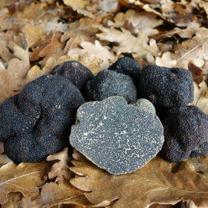black truffles on oak leaves