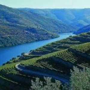 douro valley 2